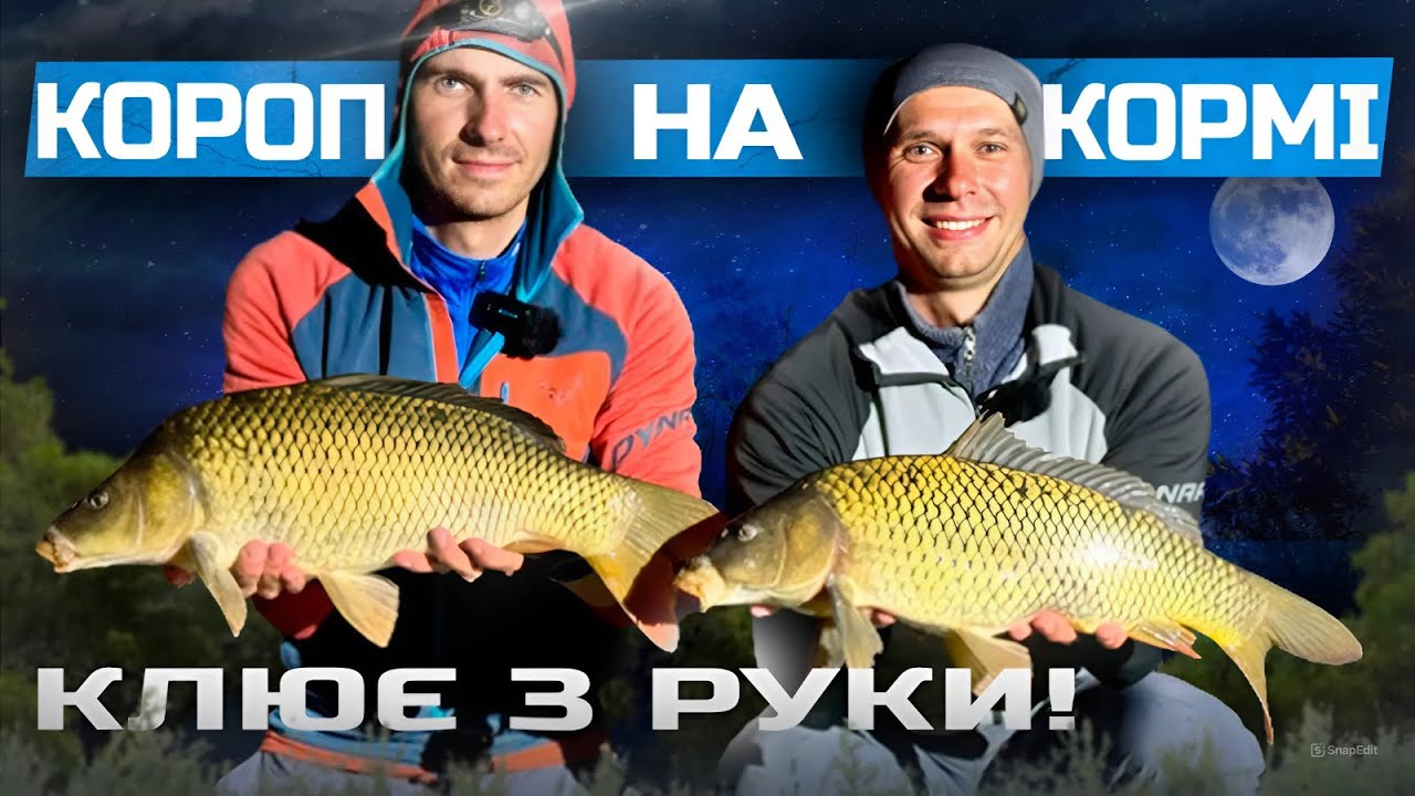Зернові? Пелець? Бойл? Що дало більше риби?