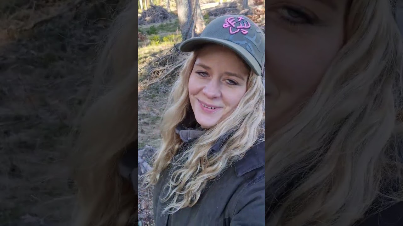 #forest #hunting #myslivost #otazky