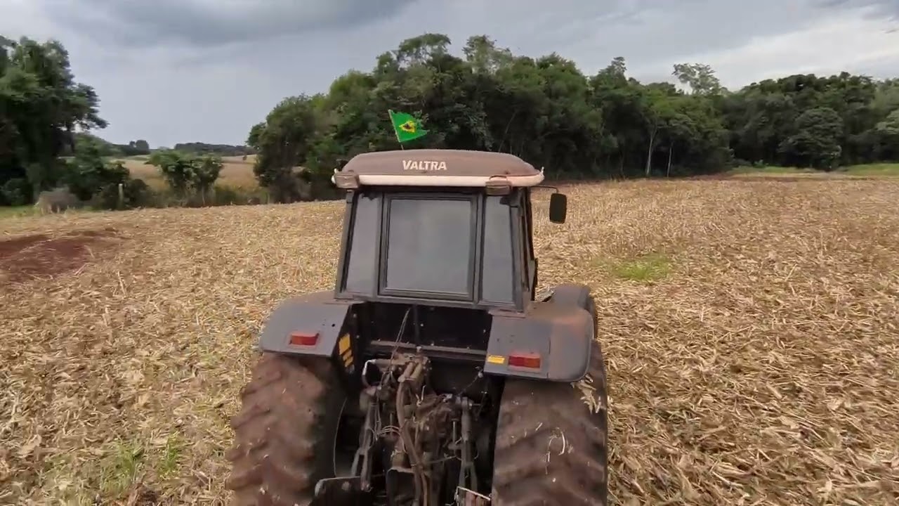 Plantio de Feijão safrinha!