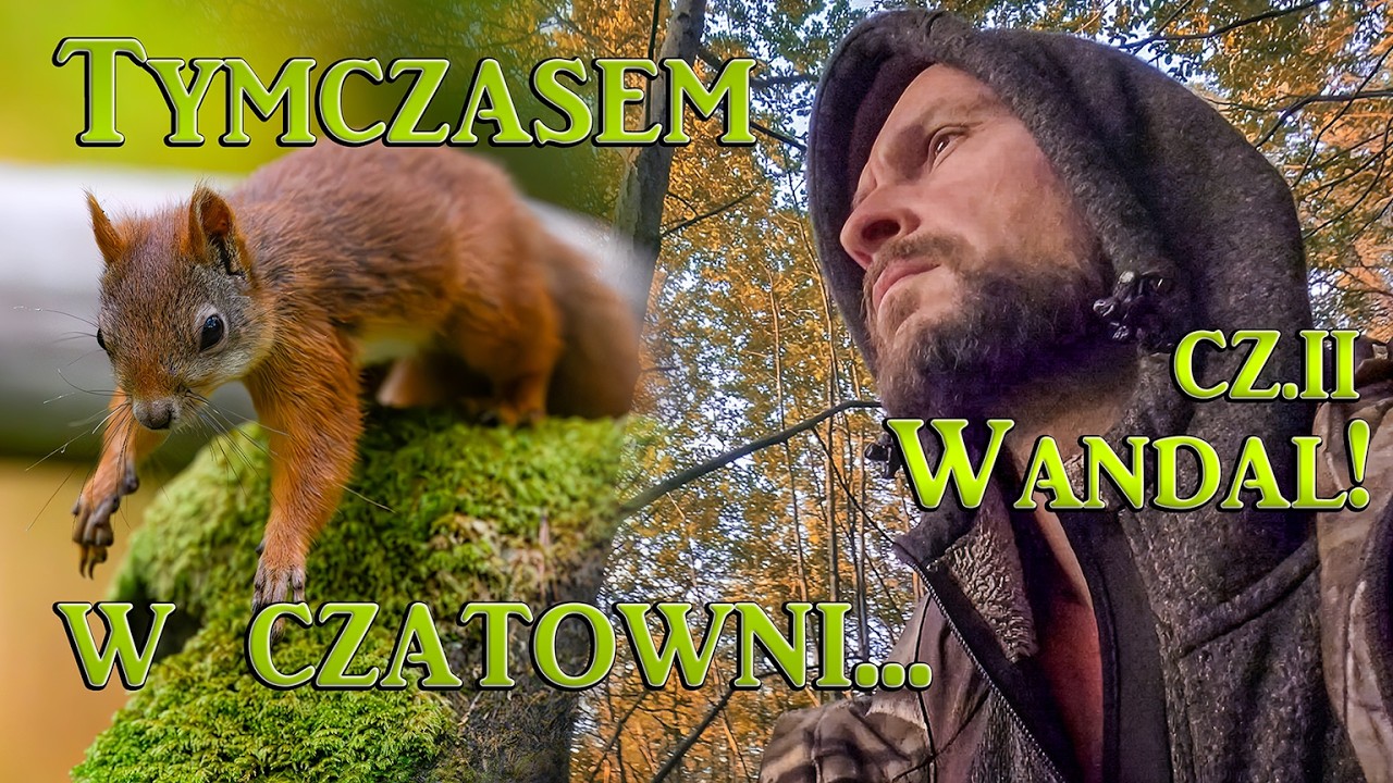 Tymczasem w czatowni...Cz.II. Wandal!