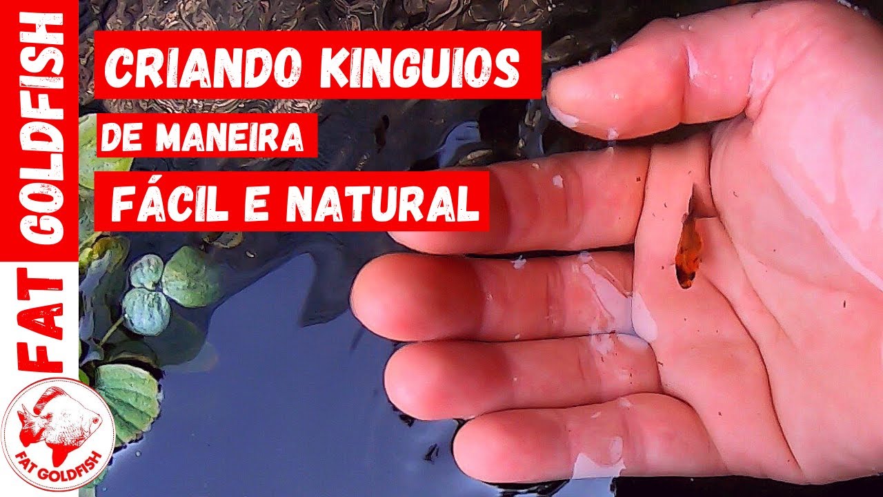 Maneira fácil e natural para criar kinguios