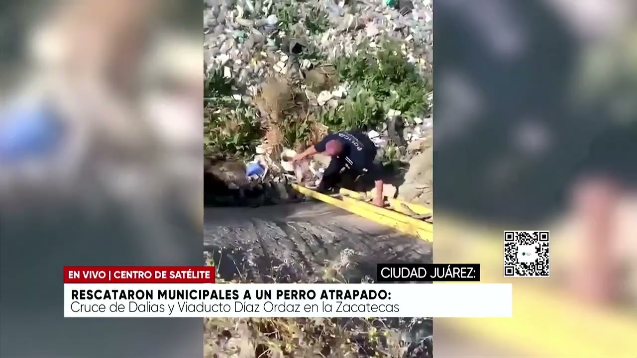 Rescataron Municipales a un perro atrapado