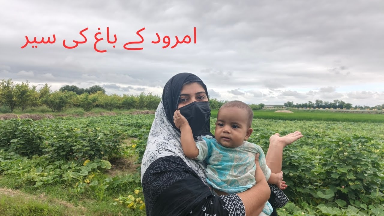 امرود کے باغ کی سیر