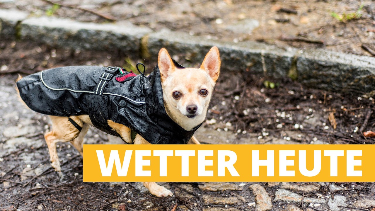 Wetter heute: Wetterlage im Umbruch! Nasser und milder Sonntag