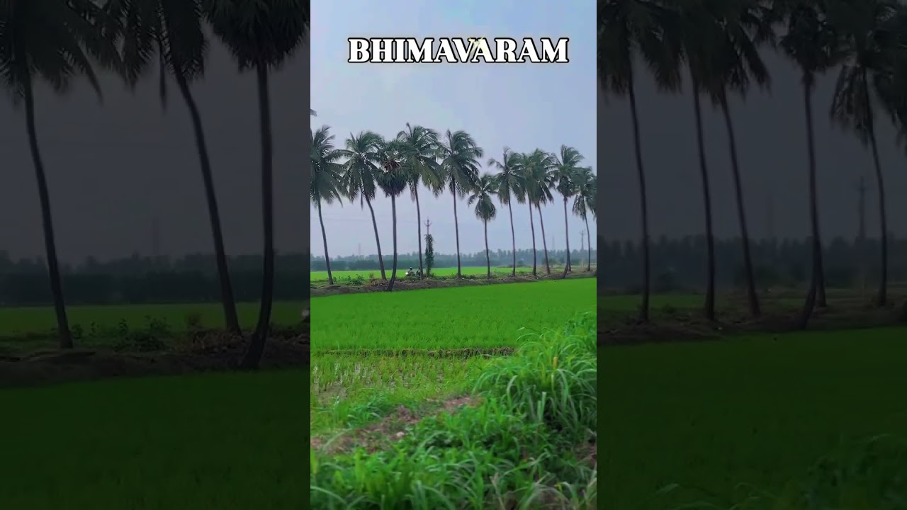 BHIMAVARAM surrounding villages 