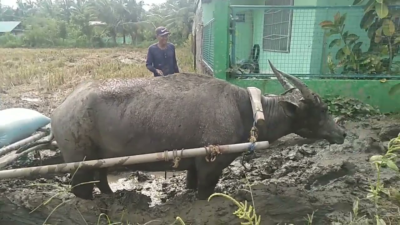 @Ep.399++Sna mapansin ang ating panawagan