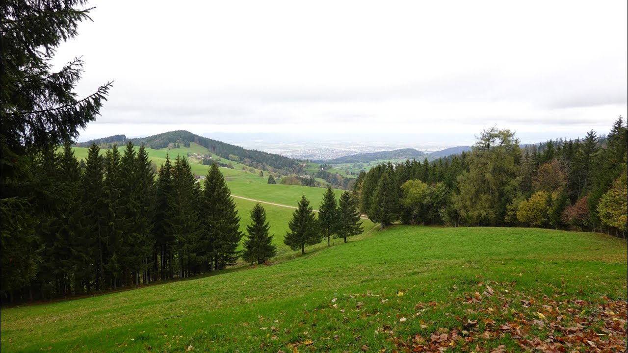 Wandelvakantie Zwarte Woud 2022