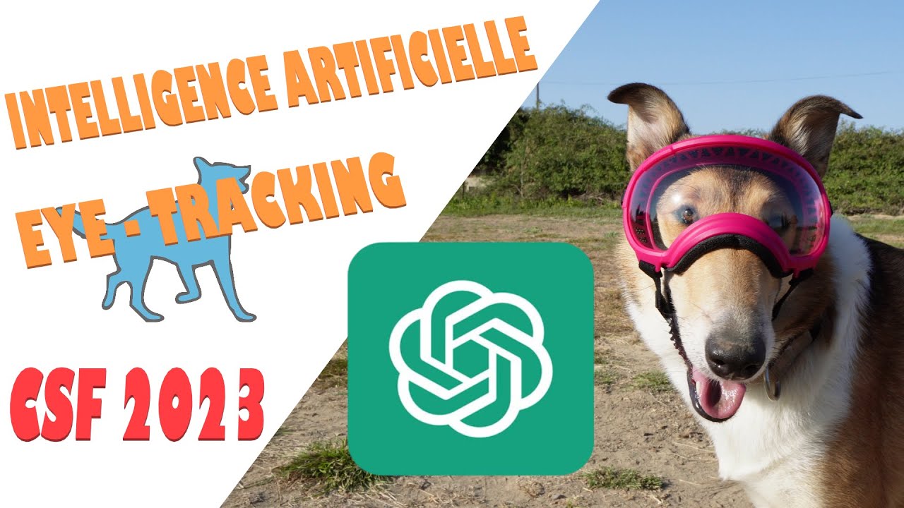 CHAT GPT et EYE TRACKING pour mieux comprendre nos CHIENS ? Bilan du CSF 2023 (VLOG)
