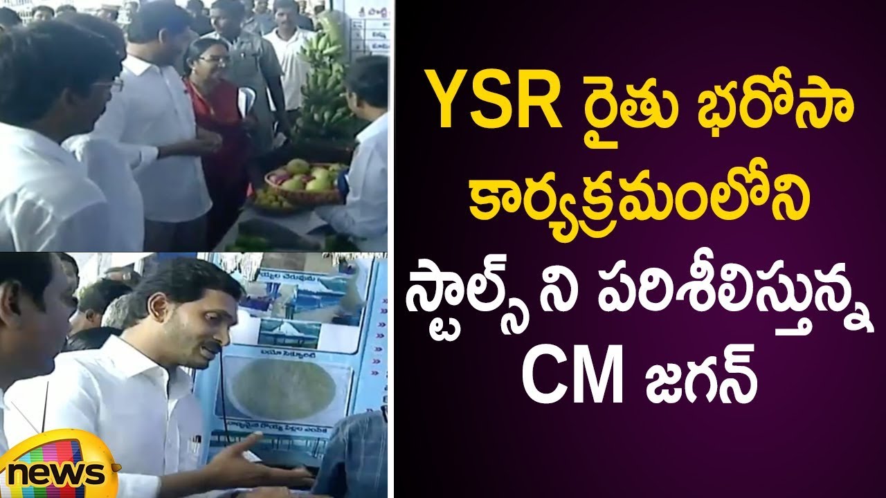 CM YS Jagan Visits All The Stalls At YSR Rythu Bharosa Scheme Launch Event | AP News | Mango News