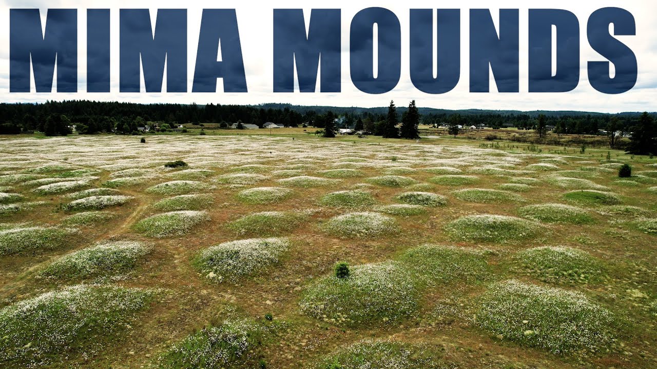 Mysterious Earthen Hills Cover Acres of Land
