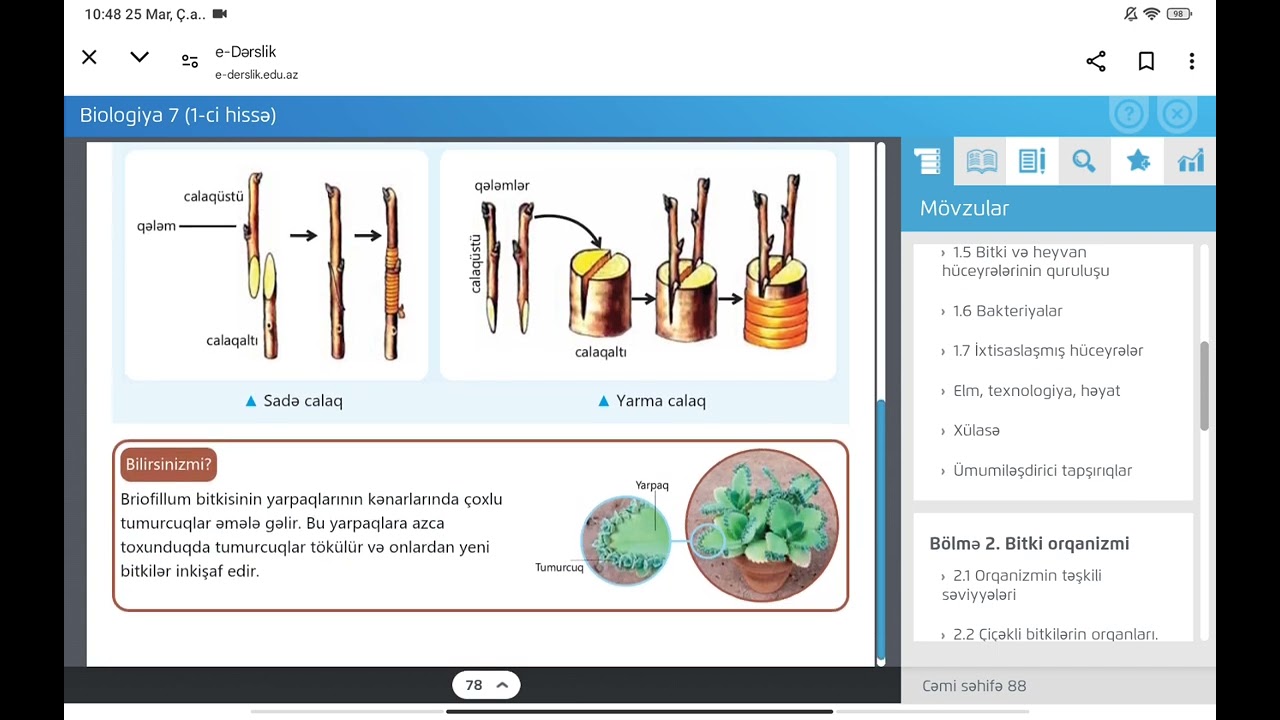 7-ci sinif biologiya.Çiçəkli bitkilərdə qeyri-cinsi çoxalma. Bitkilərin həyat dövrü.