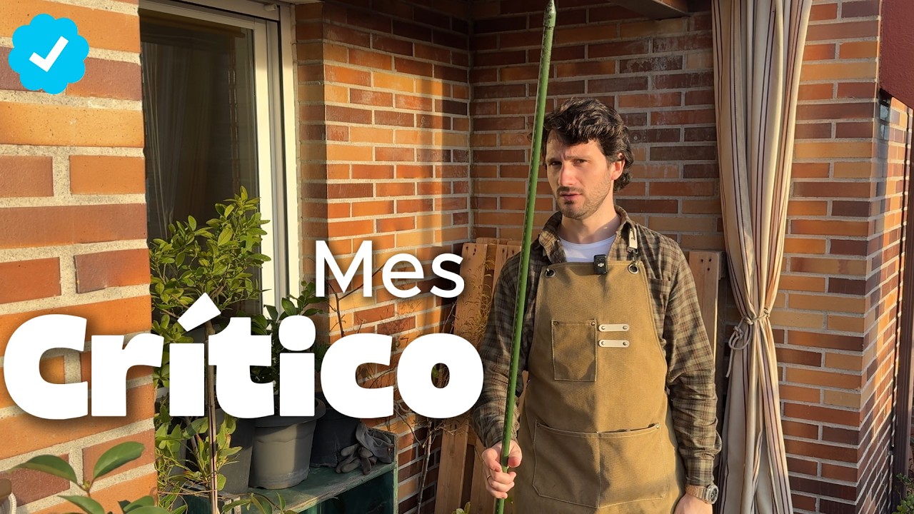 7 CLAVES de Tus Plantas en Marzo 🪻