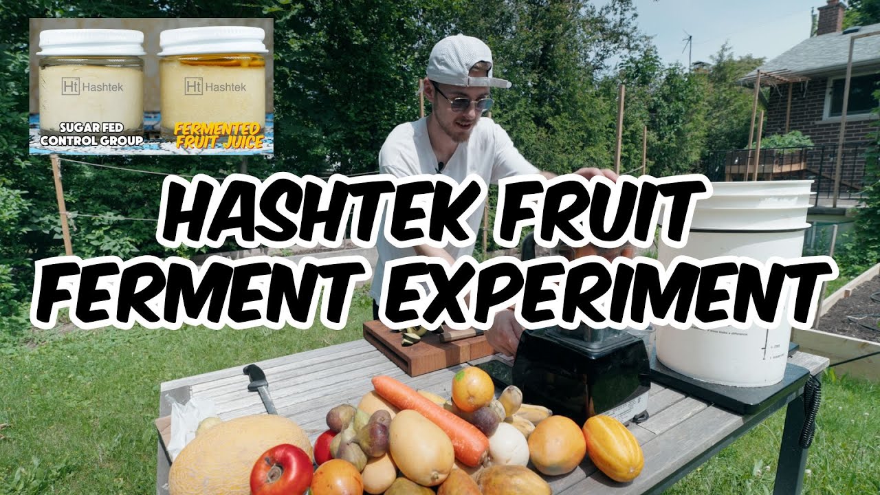 Can Fruit Ferments Improve Cannabis Resin? | Hashtek Experiment Explained
