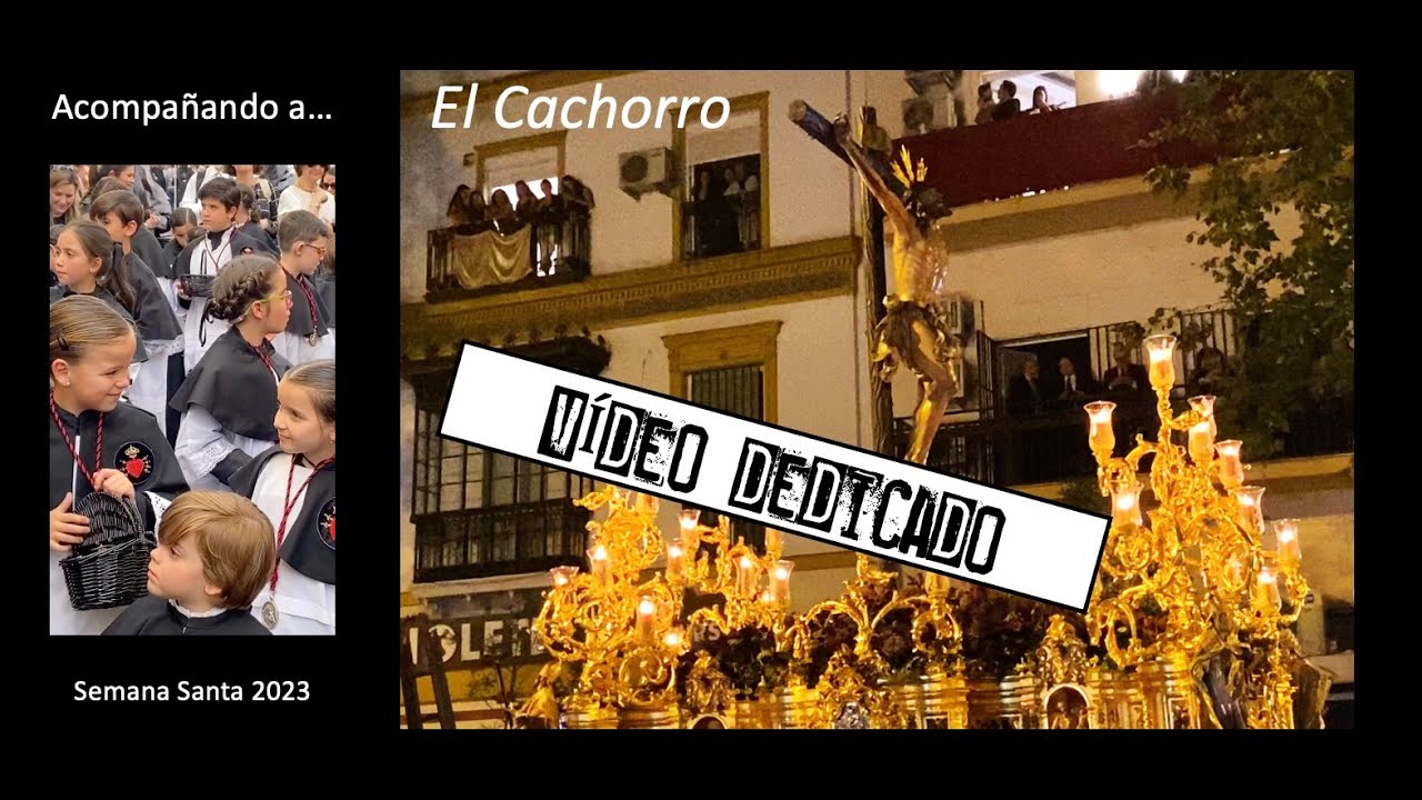 Para ti... EL CACHORRO