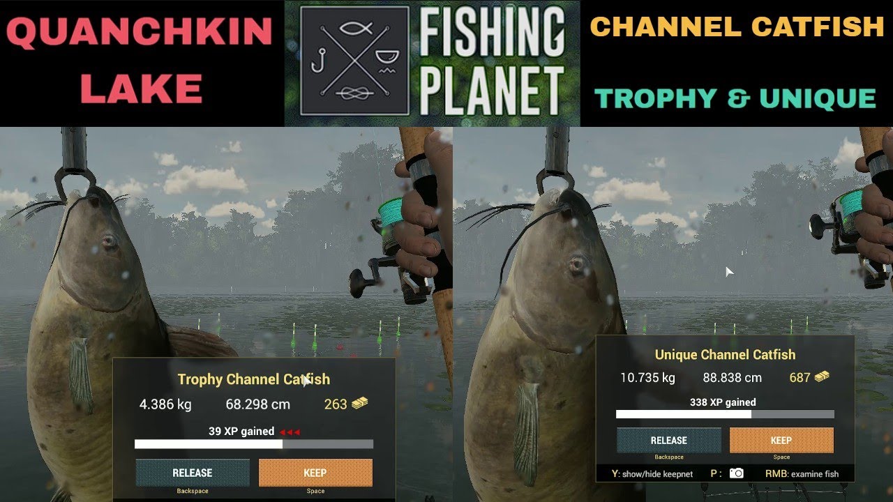 Fishing Planet, QUANCHKIN LAKE, LOUISIANA, CHANNEL CATFISH, TROPHY & UNIQUE