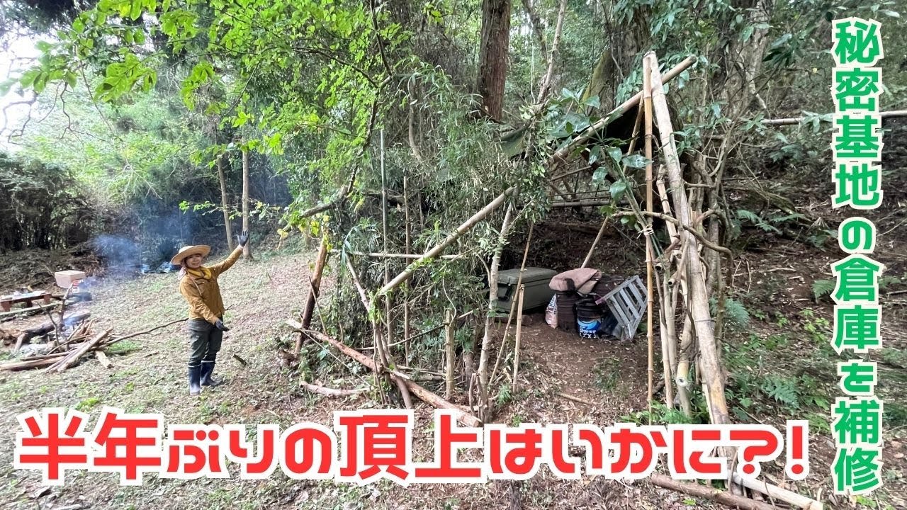 半年ぶりに行った山林の頂上が荒れ放題！カボチャの種を植えてみる｜秘密基地倉庫の入口を補修