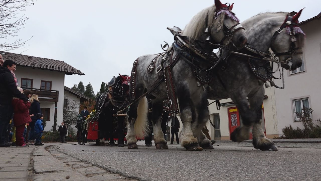 Leonhardiritt Kirchweidach 2014