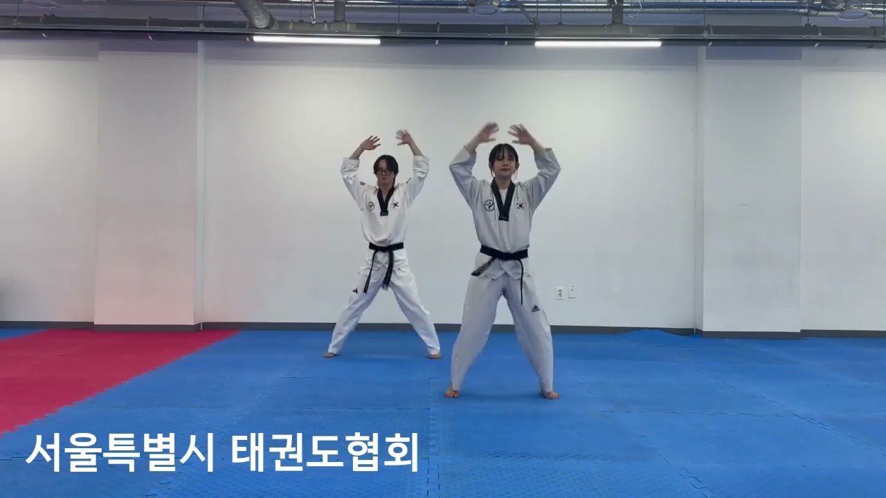 유급자태권체조 아파트