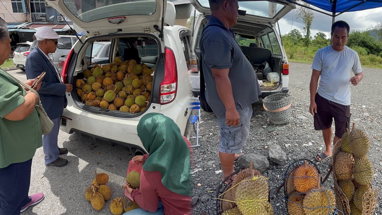 Musim Buah Durian Wajib Singgah Di Serian // Beli Durian Tepi Jalan Pan Borneo