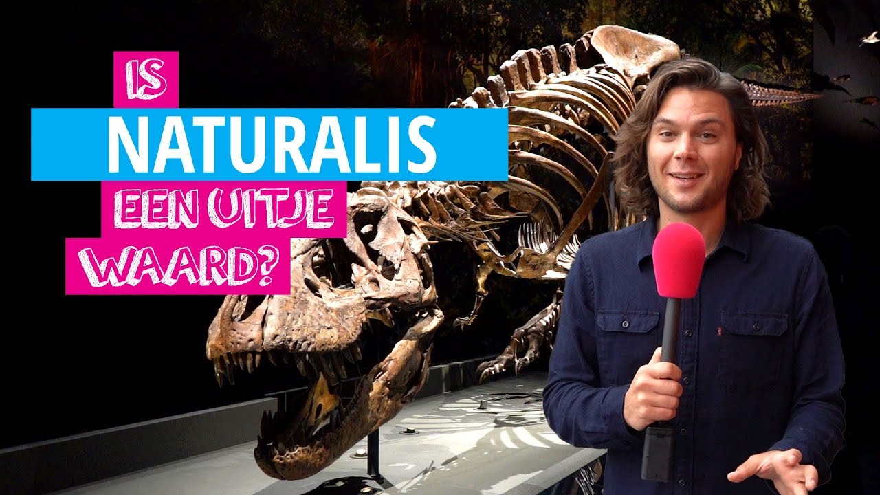 Naturalis | Is Het Een Uitje Waard?