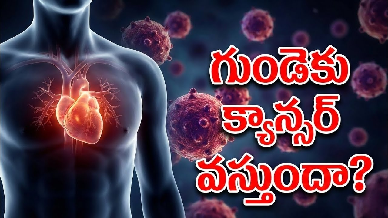 గుండెకు క్యాన్సర్ వస్తుందా? | Amazing Facts About Cancer |spirit genuine talks 