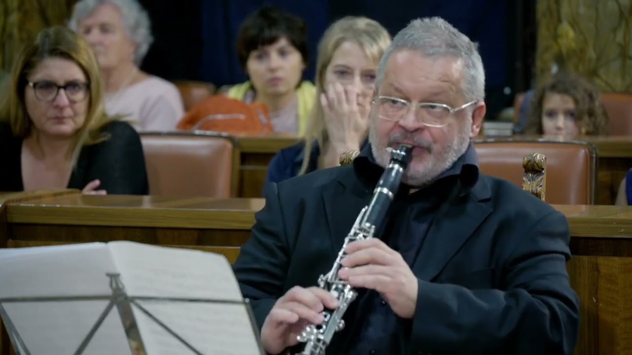 Mozart - Quintetto per Clarinetto K581 - Mvt  I - Stefano Novelli