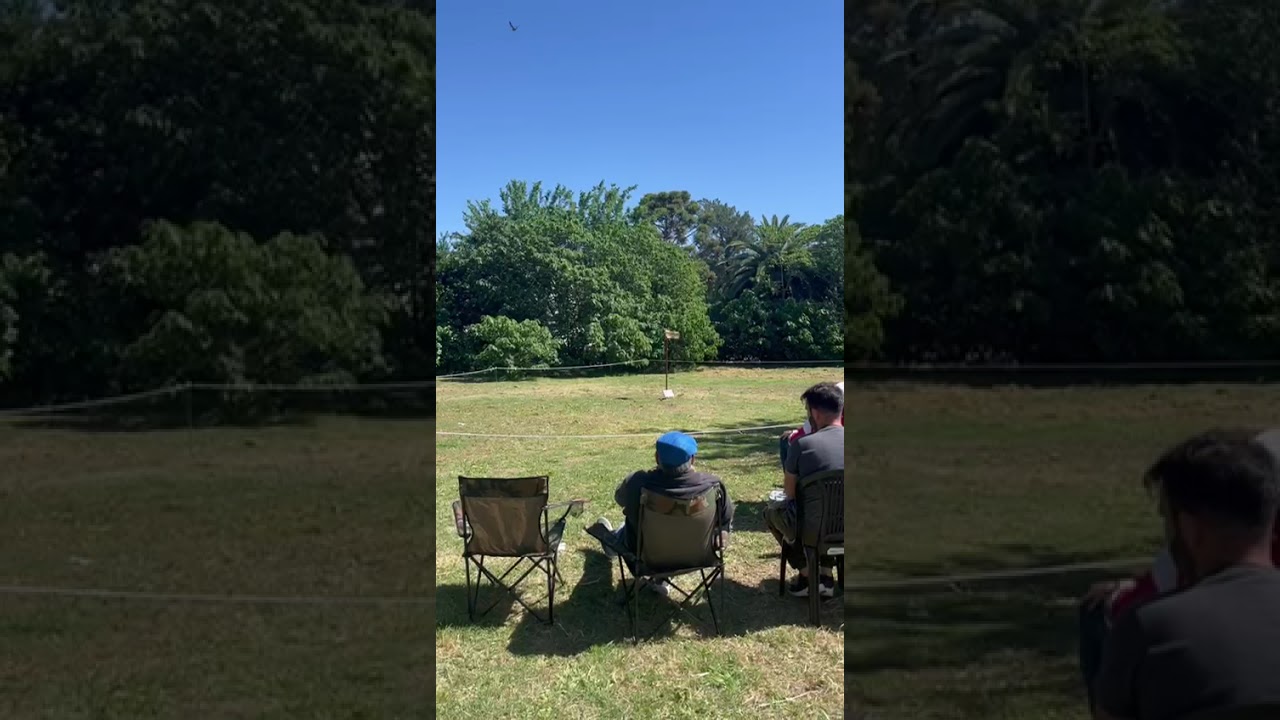 Jilguero el aguila 3ro en amarillo de repique 18/10/25