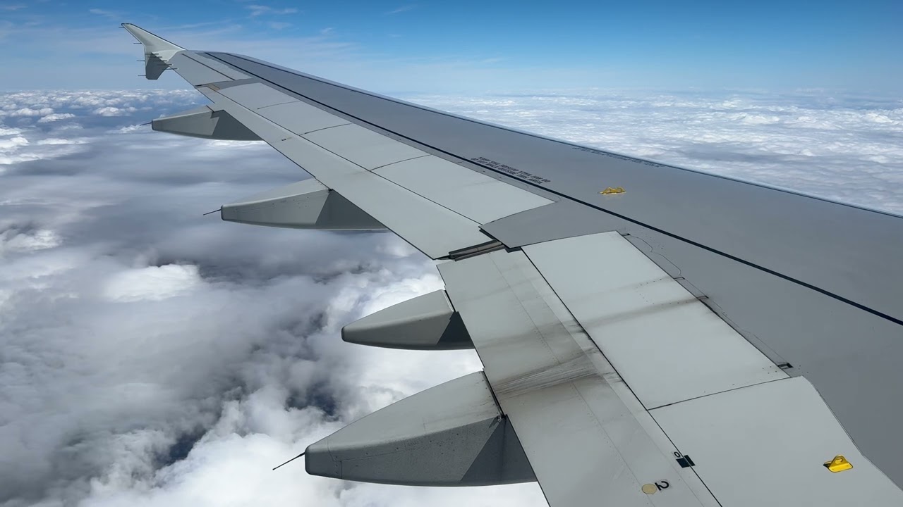 A320 Amelia International Landing into Paris CDG