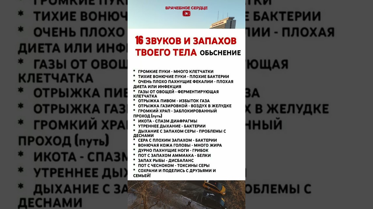 Звуки и Запахи Твоего Тела Которые Нельзя Игнорировать