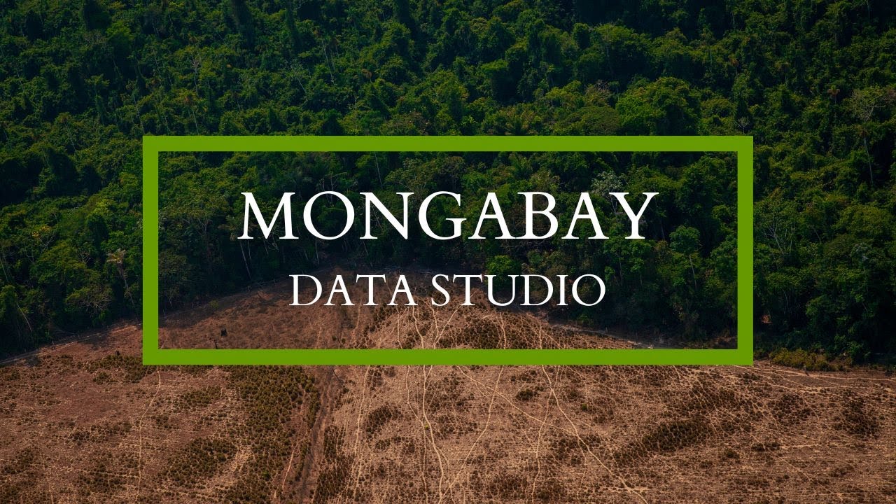 Introducing Mongabay Data Studio