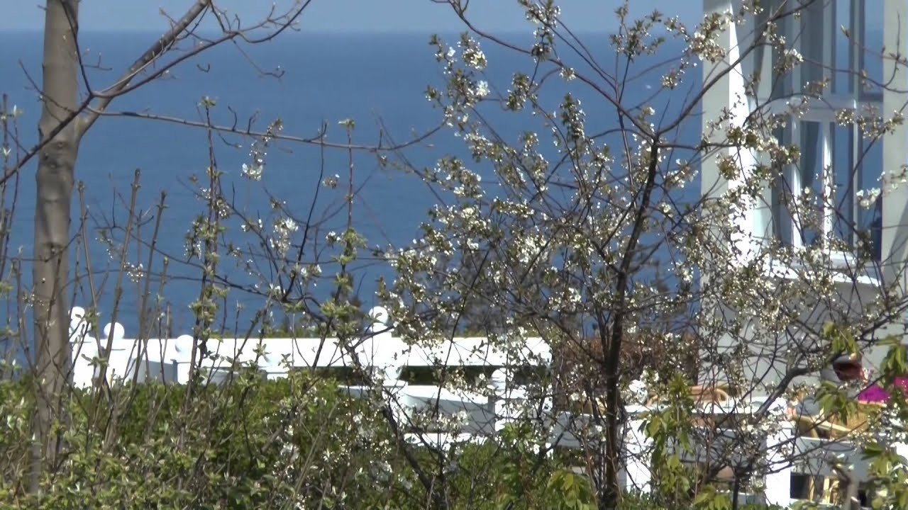 Frühling im Hafen von Lohme