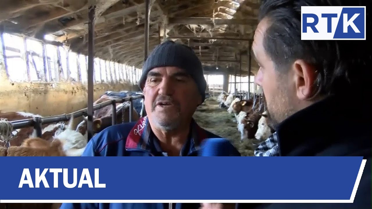 AKTUAL - FERMA E LOPËVE NË MRAMOR TË PRISHTINËS  24.12.2019