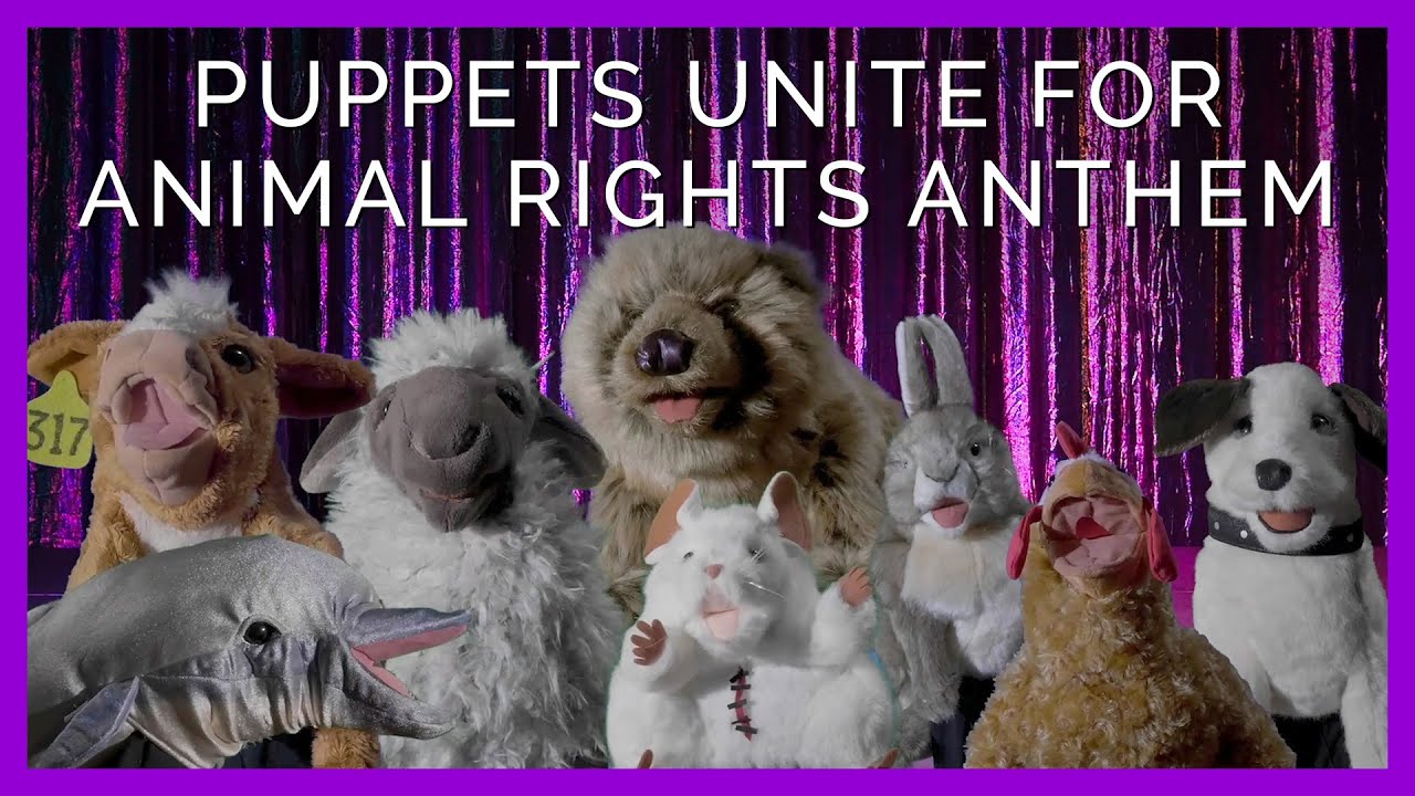 Puppets Take the Mic in Animal Rights Song