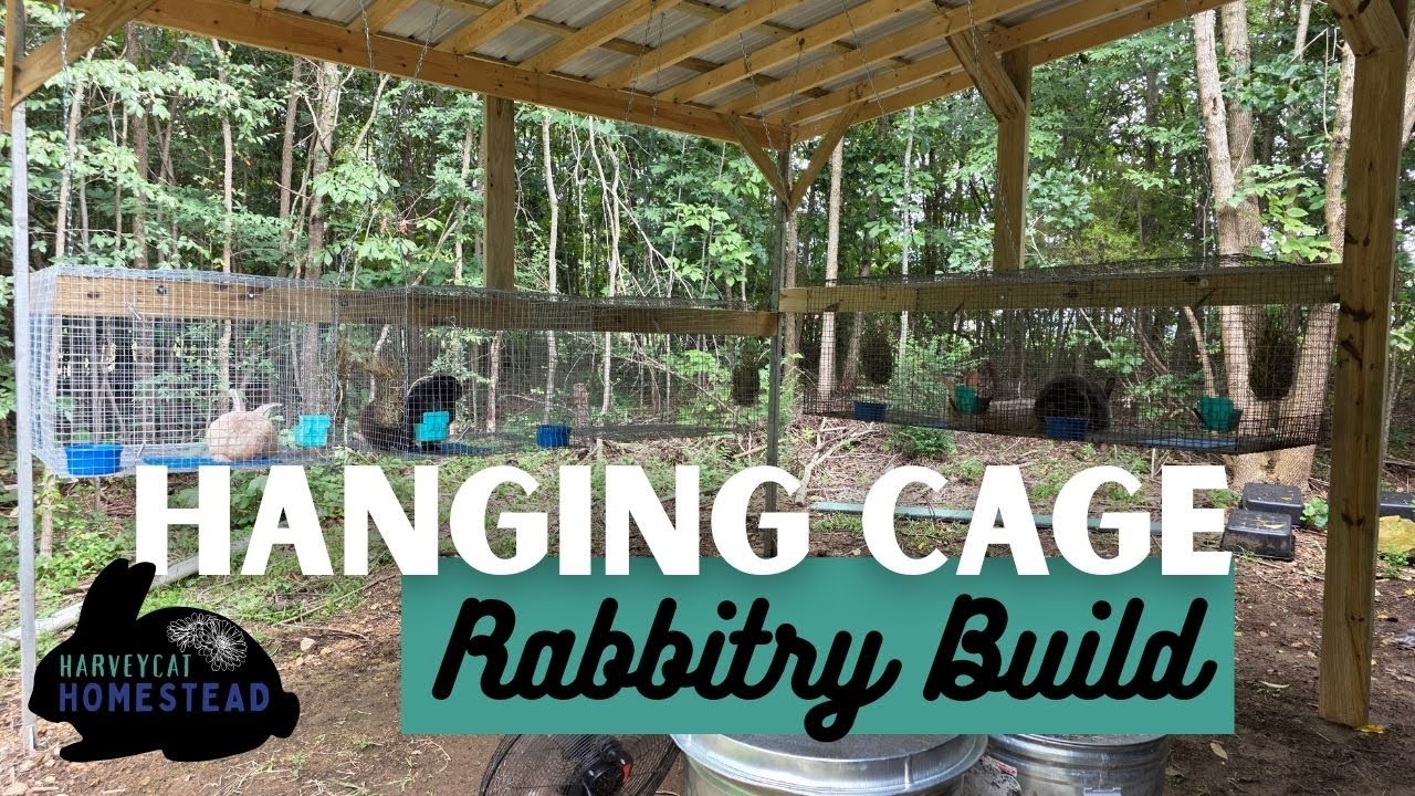 We Hung Our Bunnies!