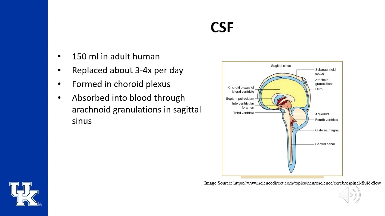 Neuroanesthesia Keyword Review ITE - (Dr. Poore)