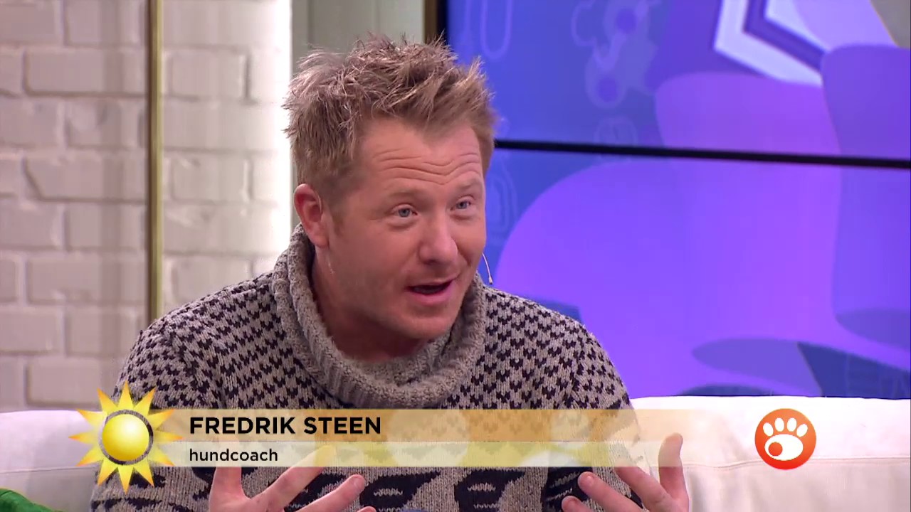 Uppfostra din svartsjuka hund  - Nyhetsmorgon (TV4)