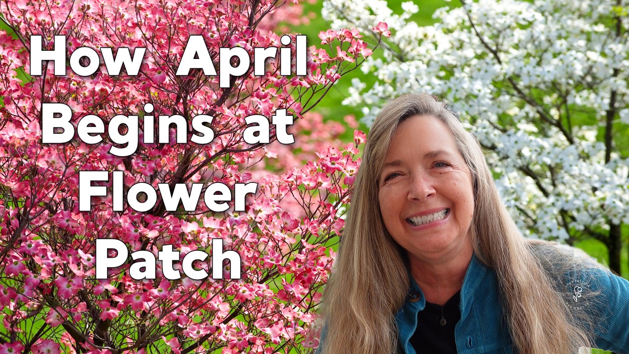 First of April 2026 Full Garden Tour at Flower Patch