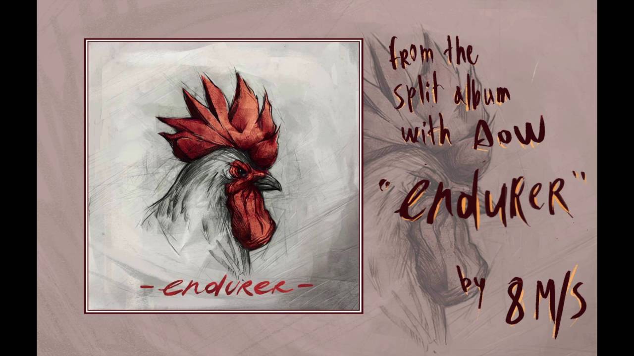 8m/s - Endurer (Official Audio)