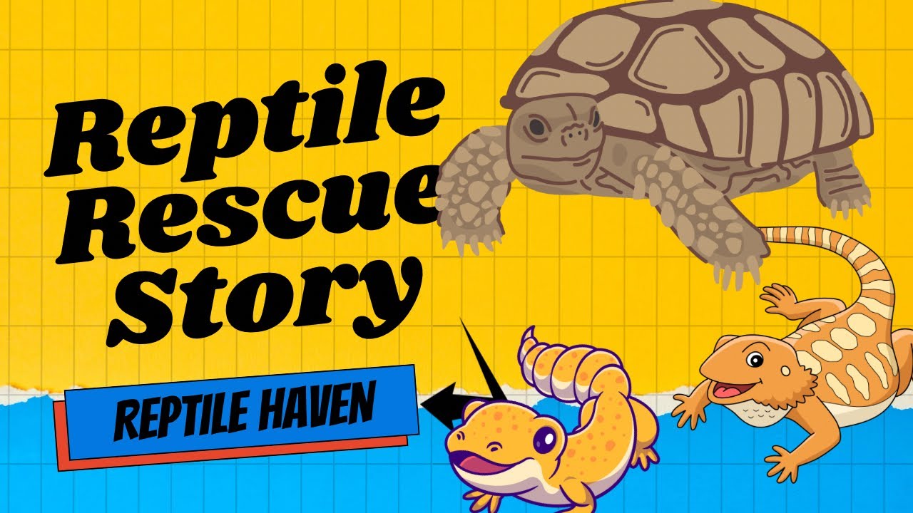 Rescuing Reptiles from a Closing Nature Center!!!