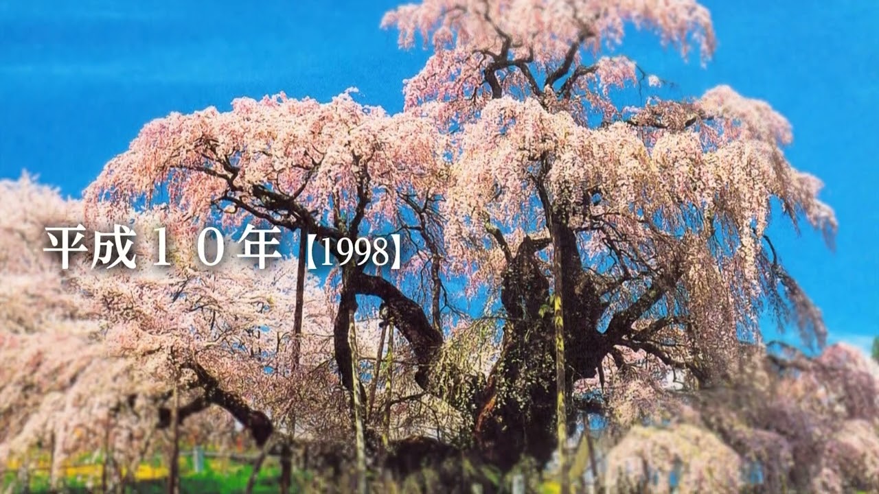 魅力発信プロモーション映像（三春滝桜）
