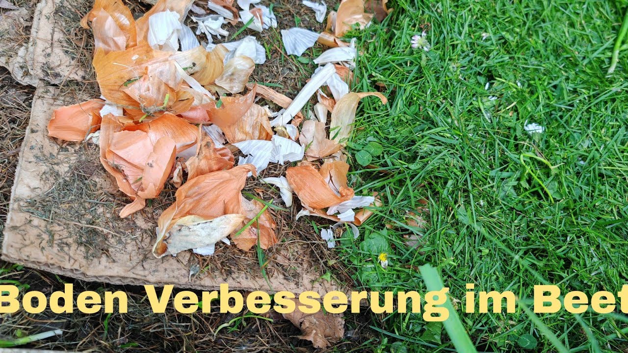 Boden Verbesserung, simpel, mit einfachen Mitteln den Boden verbessern.