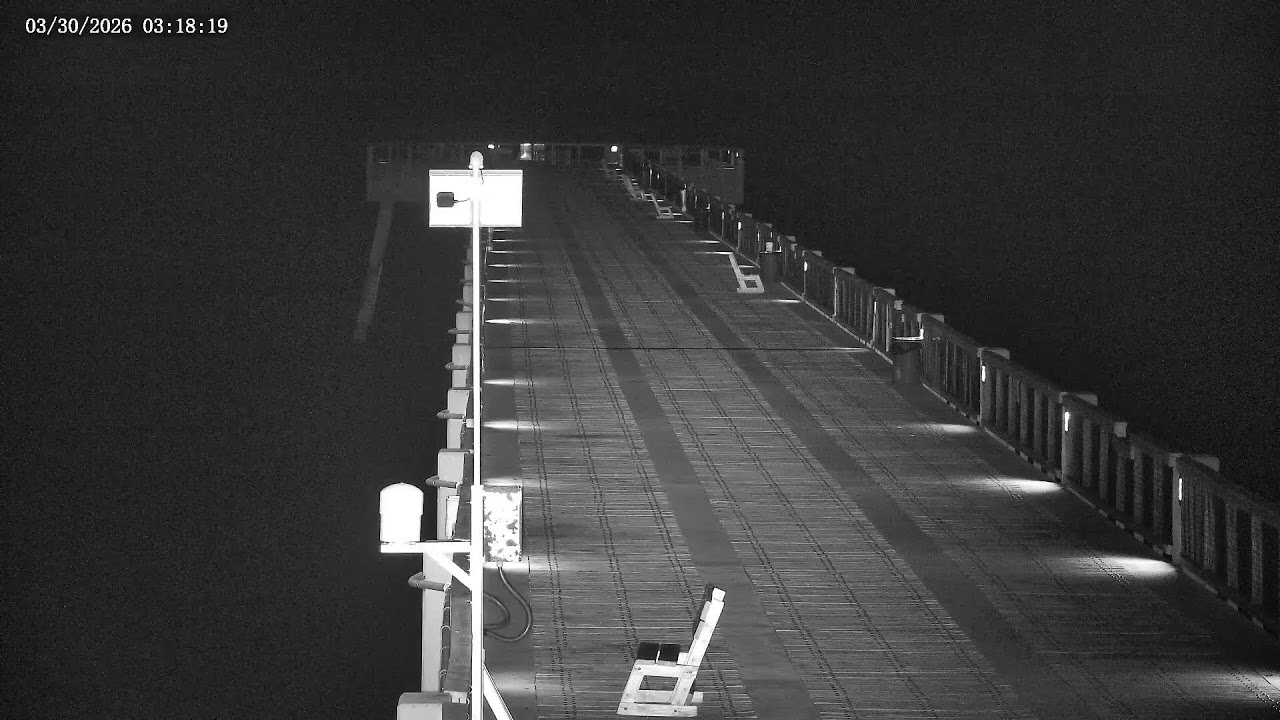 Pier Cam