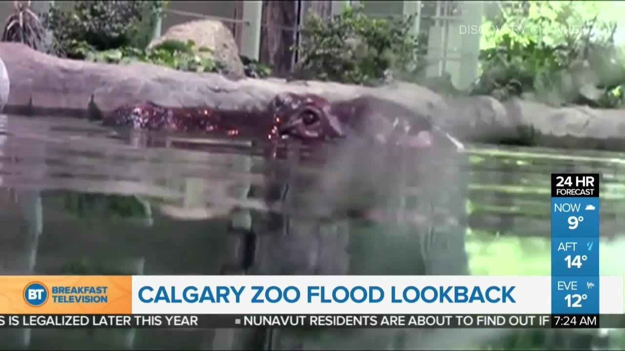 Flood look back at the Calgary Zoo