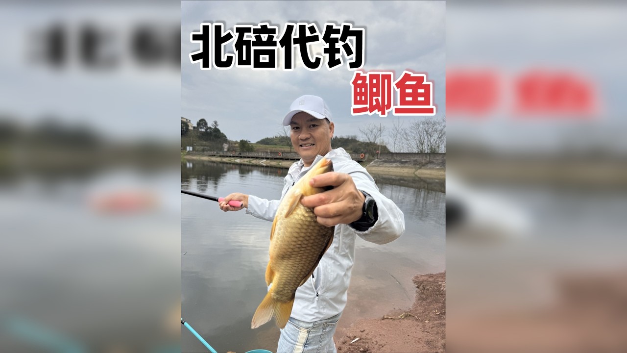 这次代钓80的钓费，全是斤鲫