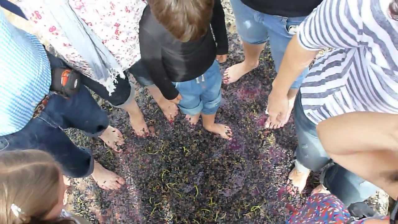 A vista de zapatero - la celebración: turistas pisando uvas
