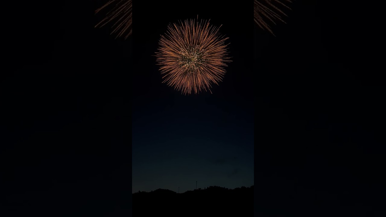DS08 8inch dandelion with silver strobe pistil with big tail