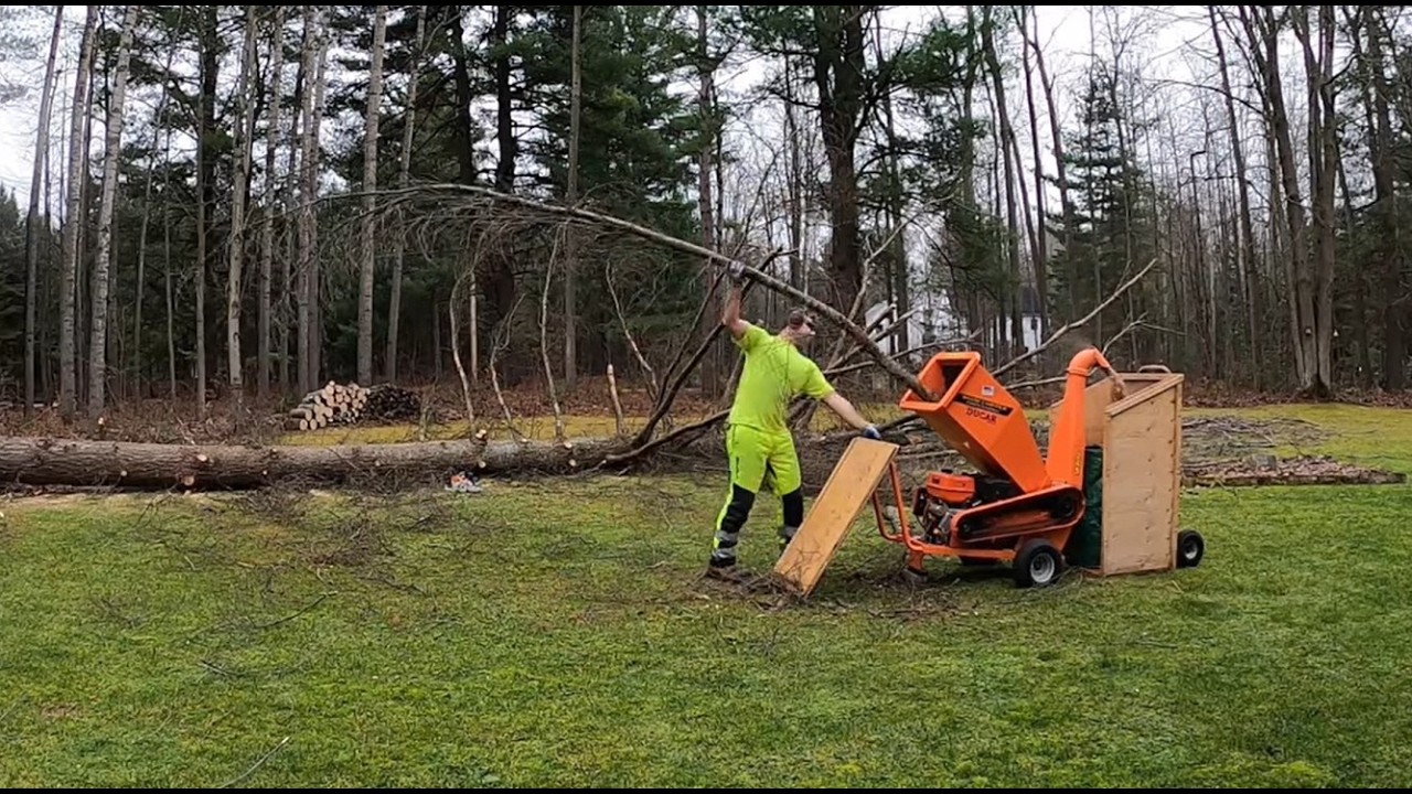 From Pine to Pixels: DUCAR woodchipper eats pine
