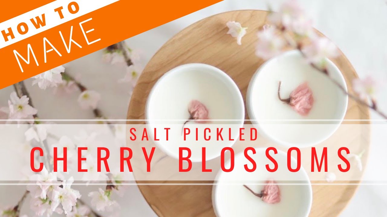 How to Make Pickled Cherry Blossoms【Sushi Chef Eye View】