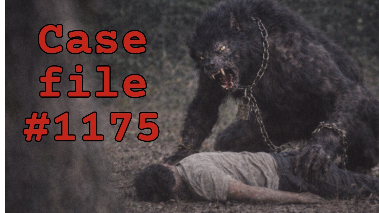 I Heard a Dogman Breathing Outside My Cabin in the Appalachian Mountains – Case File #1175