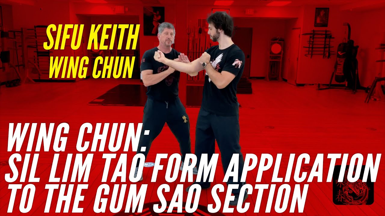 Wing Chun: Sil Lim Tao Form Application to the Gum Sao Section